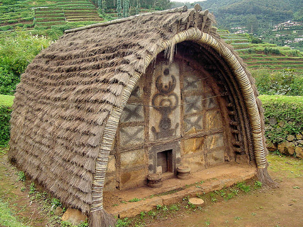 নীলগিরি নীলগিরি