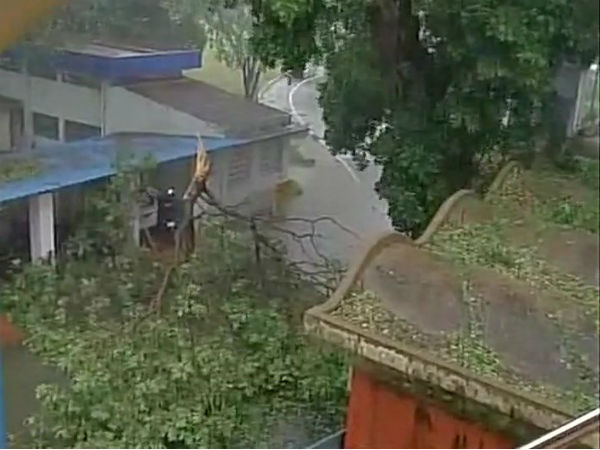 দুর্বল হবে ভরদা দুর্বল হবে ভরদা