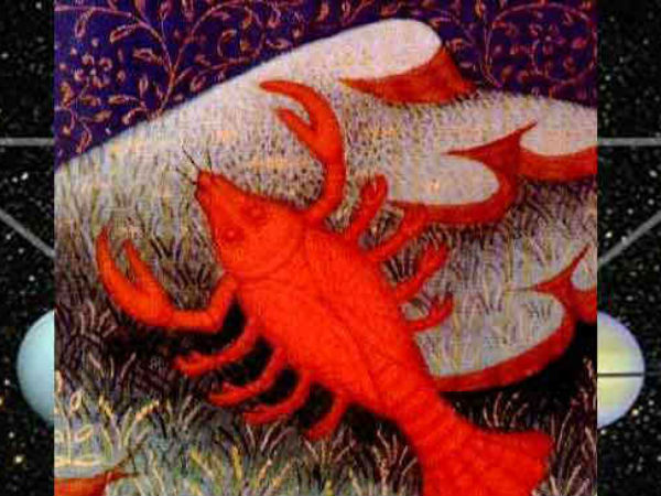 কর্কট - Cancer কর্কট - Cancer