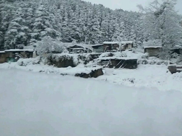 শিমলায় অত্যধিক তুষারপাত শিমলায় অত্যধিক তুষারপাত