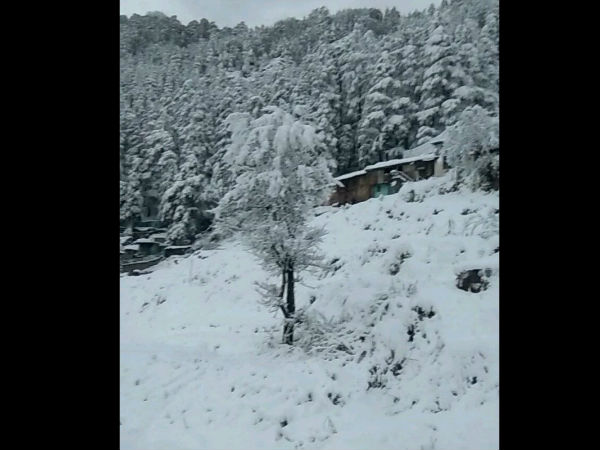 কাঁপছে মানালি-কিন্নর কাঁপছে মানালি-কিন্নর