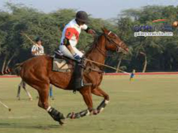 পোলো 