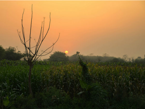 কোন সময়ে যাবেন