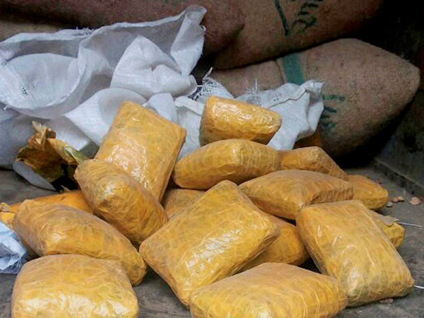 পোস্তর খোসা উদ্ধারে কুয়োয় নেমে বিষাক্ত গ্যাসে মৃত ৩ পোস্তর খোসা উদ্ধারে কুয়োয় নেমে বিষাক্ত গ্যাসে মৃত ৩