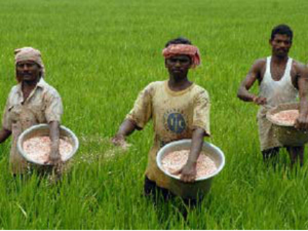 কৃষিক্ষেত্র, নেতিবাচক দিক 