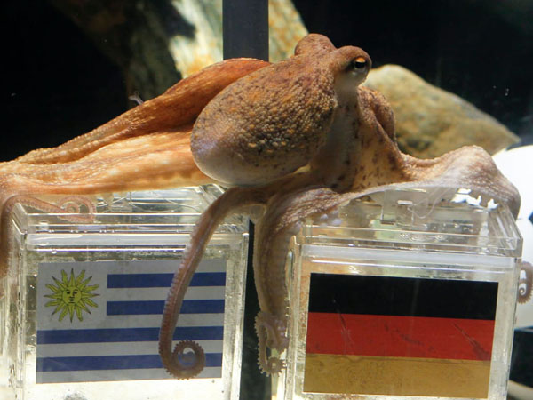 পলের ক্যারিশমা পলের ক্যারিশমা