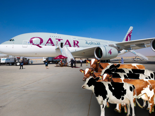 প্রতীকী ছবি, গ্রাফিক্স- ইন্দ্রাণী সরকার প্রতীকী ছবি, গ্রাফিক্স- ইন্দ্রাণী সরকার