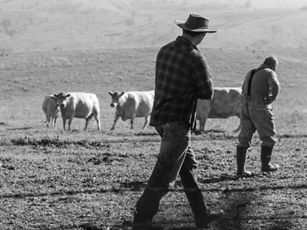 এঁদের বিশেষত্ব কী? 