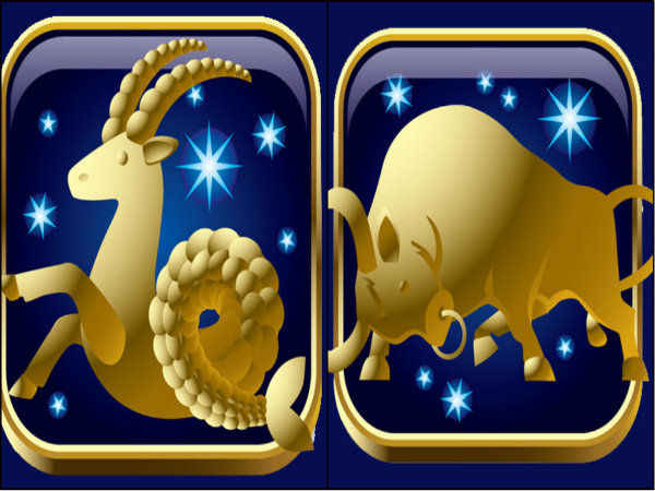 বৃষ ও মকর 