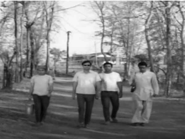 অরণ্যের দিনরাত্রি 