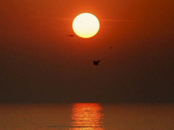 সোশ্যাল মিডিয়ায় কী দেখা যাবে ? 