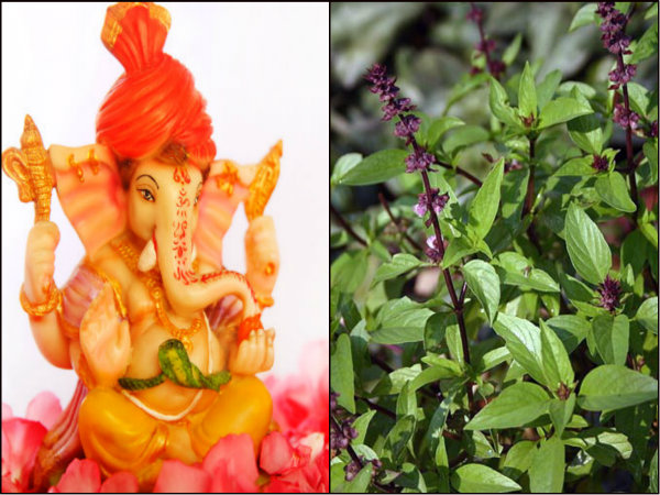 তুলসীকে যা বললেন গণেশ তুলসীকে যা বললেন গণেশ