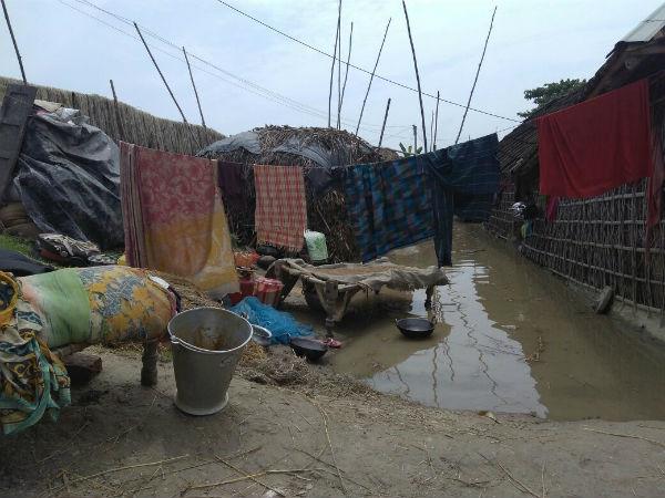 জল-যন্ত্রণায় হরিশ্চন্দ্রপুর, ত্রাণ নিয়ে ক্ষোভ দুর্গতদের মধ্যে