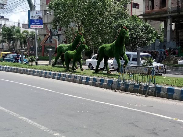 সরকারের পক্ষ থেকে আশ্বাস