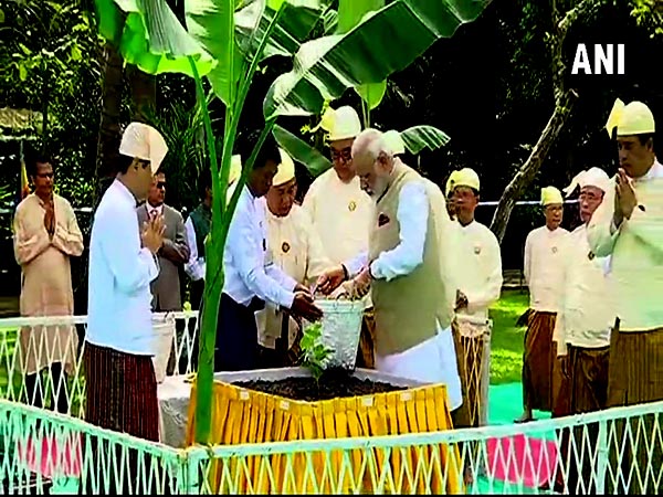 বোধি গাছ রোপণ বোধি গাছ রোপণ
