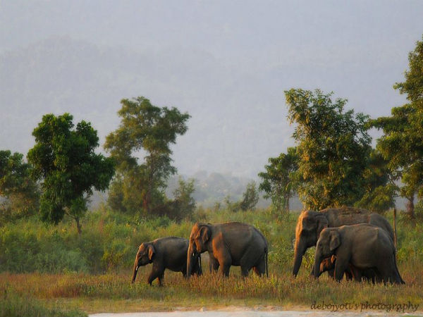 নতুন করে খুলল বক্সার সিকিয়াঝোরা পর্যটন কেন্দ্র নতুন করে খুলল বক্সার সিকিয়াঝোরা পর্যটন কেন্দ্র
