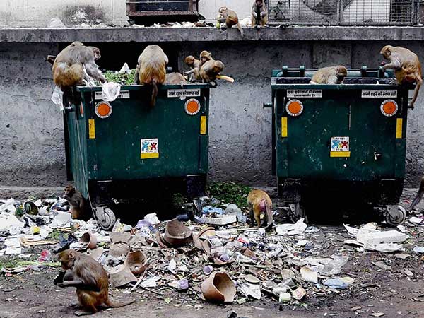 এই কাজটি করতে পারলেই পেতে পারেন স্মার্টফোন 