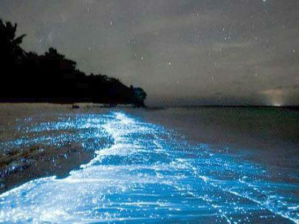 বঙ্গোপসাগর, ভারত মহাসাগরের তলায় গুপ্তধনের খোঁজ