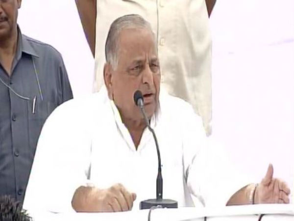 আইনজীবী হিসাবে 