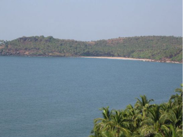 গোয়া 
