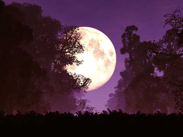 ভূত চতুর্দশী কী ? 