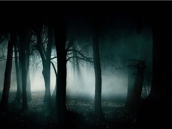 কার্শিয়ং...' ল্যান্ড অব অর্কিডস' 