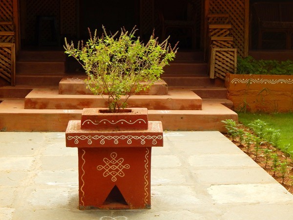 তুলসী পুজো তুলসী পুজো