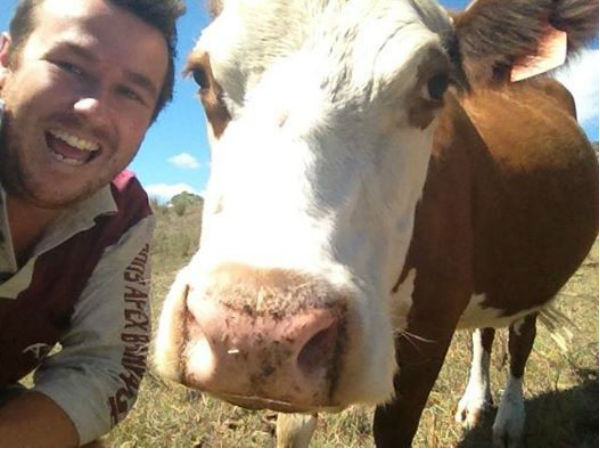 গরুর সঙ্গে সেলফি তুলে জিততে পারেন পুরস্কার, প্রতিযোগিতা চলছে এই শহরে গরুর সঙ্গে সেলফি তুলে জিততে পারেন পুরস্কার, প্রতিযোগিতা চলছে এই শহরে