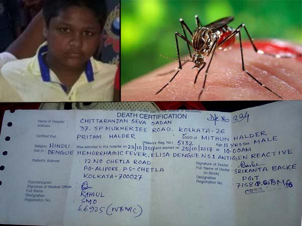 ডেঙ্গিতে বাড়ছে মৃতের সংখ্যা, দলীয় বৈঠকে মানতে নারাজ মুখ্যমন্ত্রী