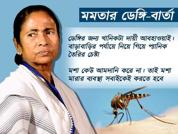 ‘সরকার মশার আমদানি করে না’, ডেঙ্গির জন্য কার দিকে আঙুল তুললেন মমতা