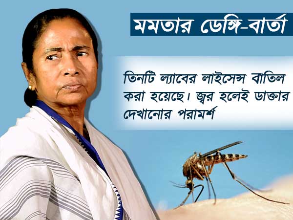 ‘সরকার মশার আমদানি করে না’, ডেঙ্গির জন্য কার দিকে আঙুল তুললেন মমতা