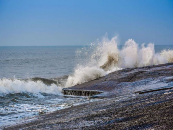 আয়োজক সংস্থা