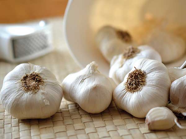 সংক্রামক রোগ নিরাময়