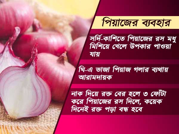 দৈনন্দিন জীবনে পিয়াজের ব্যবহার