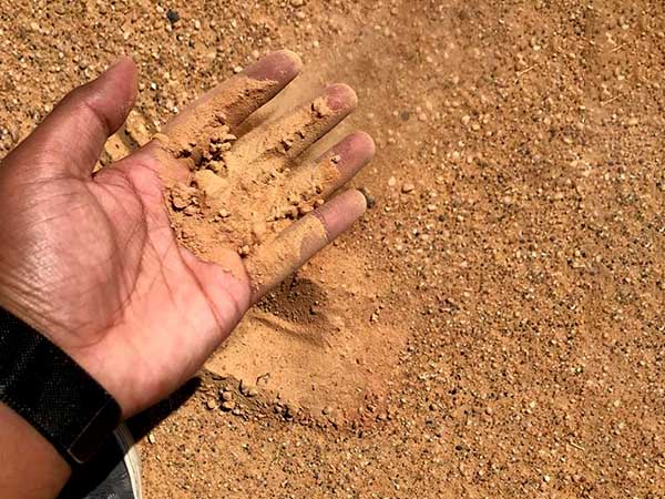 বিপদ পদে পদে