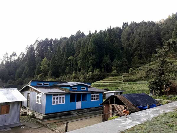 গোর্খে খোলার পাশেই রয়েছে নাসপাতির গাছ, আর নীল পাখীর কুজন গোর্খে খোলার পাশেই রয়েছে নাসপাতির গাছ, আর নীল পাখীর কুজন