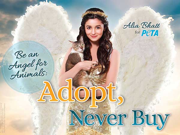 আলিয়ার বার্তা