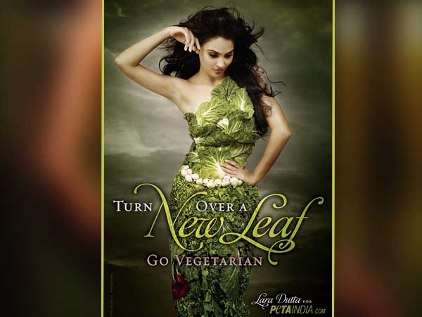 পরণে সবুজ, লারার সজীব বার্তা