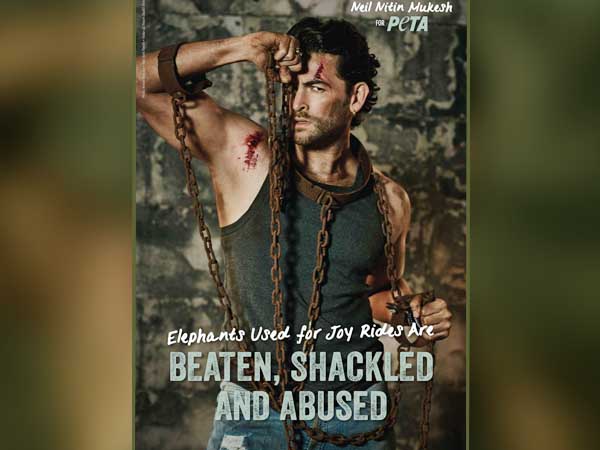  হাতিকে শৃঙ্খলিত করবেন না