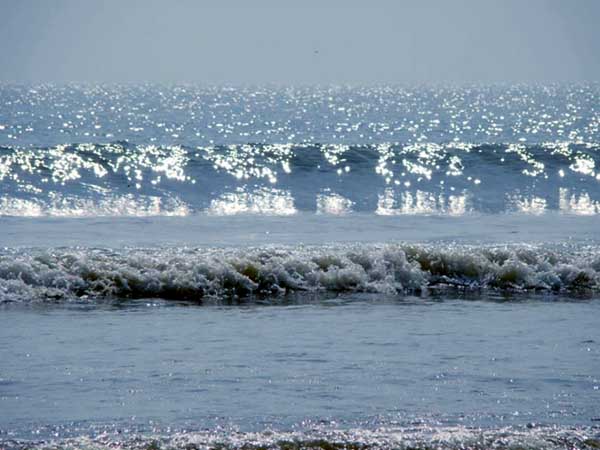 'বন্ধুত্ব'-কে মিস করেন, তাহলে পড়ুন এই অসামান্য কাহিনি