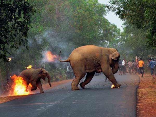 এ কেমন মানবিকতা, যার ছবি পেল বিশ্বসেরার সম্মান এ কেমন মানবিকতা, যার ছবি পেল বিশ্বসেরার সম্মান