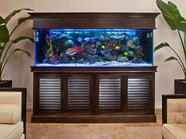 অ্যাকোয়ারিয়াম অ্যাকোয়ারিয়াম