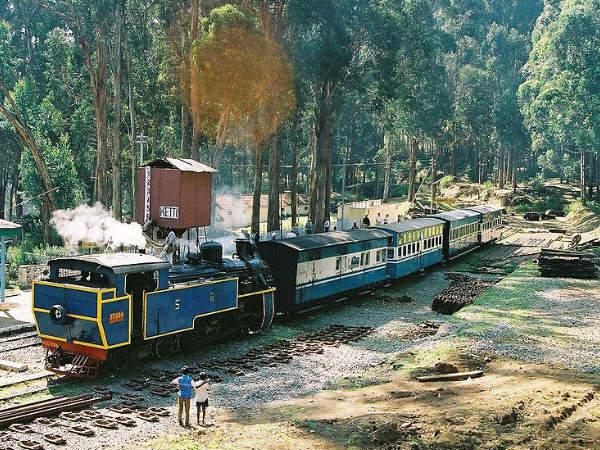 শীতের মধ্যেই সুখবর, ফের শুরু হচ্ছে টয় ট্রেনের যাত্রা শীতের মধ্যেই সুখবর, ফের শুরু হচ্ছে টয় ট্রেনের যাত্রা