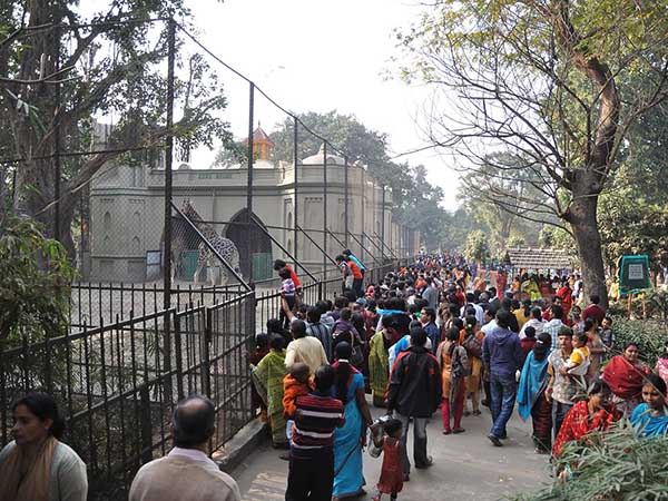 সবচেয়ে হিট কারা