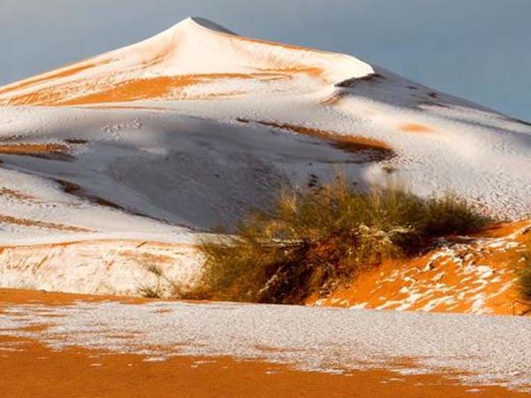 অলজেরিয়ার ছবি 