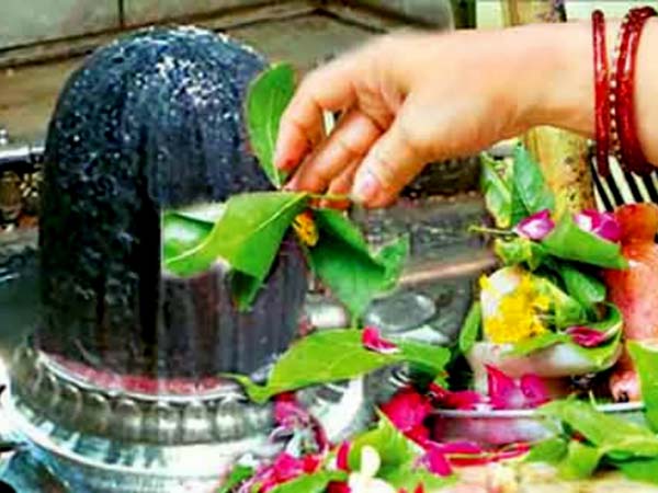 দূর্বা ঘাস দূর্বা ঘাস