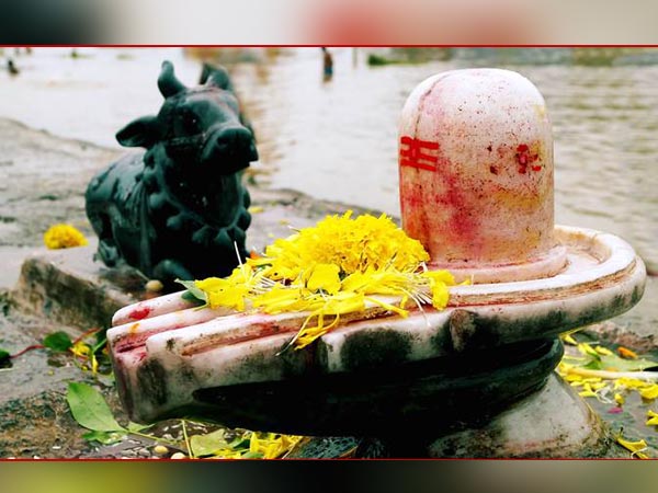 আকন্দ ফুল আকন্দ ফুল