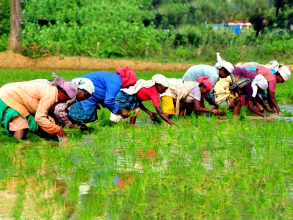 লাভ হয়নি কিছুই লাভ হয়নি কিছুই