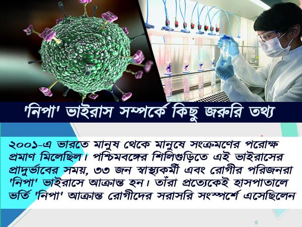 নিপার হাত থেকে বাঁচতে