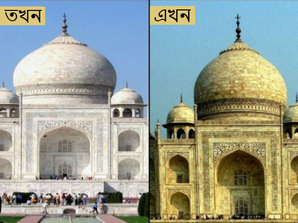 শীর্ষ আদালতের ভর্ৎসনার মুখে এএসআই শীর্ষ আদালতের ভর্ৎসনার মুখে এএসআই